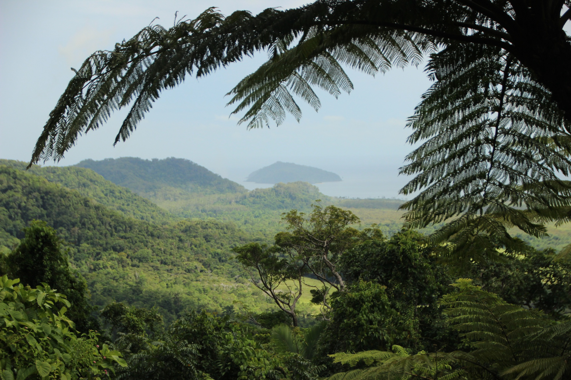 Environment & Sustainable Livelihoods